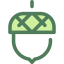 Acorn icon 64x64