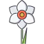 Narcissus icon 64x64