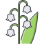 Lily icon 64x64