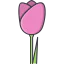 Tulip icon 64x64
