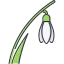 Snow drop icon 64x64