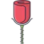 Rose icon 64x64