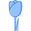 Tulip icon 64x64