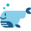 Whale icon 64x64