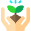 Sprout icon 64x64