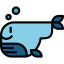 Whale icon 64x64