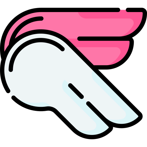 Wings icon