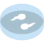 Sample icon 64x64