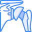 Shoulder icon 64x64