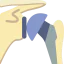 Shoulder icon 64x64