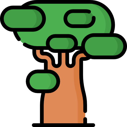 Baobab icon