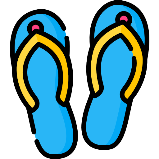 Flip flops icon