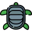 Turtle icon 64x64
