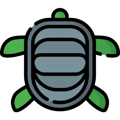 Turtle icon