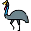Cassowary icon 64x64