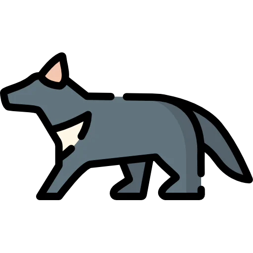 Wombat icon