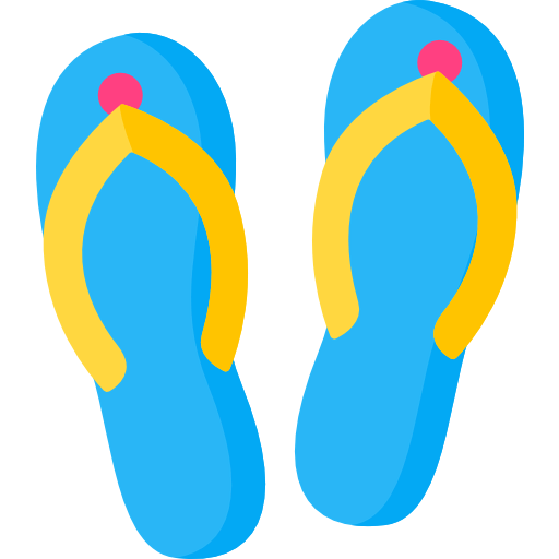 Flip flops icon