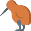 Kiwi icon 64x64