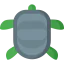 Turtle icon 64x64