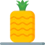 Pineapple icon 64x64