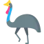 Cassowary icon 64x64