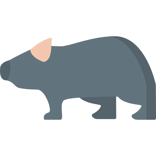 Wombat icon