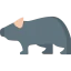 Wombat icon 64x64