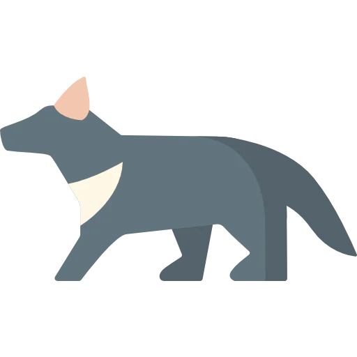 Wombat icon