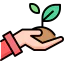 Sprout icon 64x64