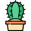 Cactus icon 64x64