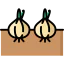 Onion icon 64x64