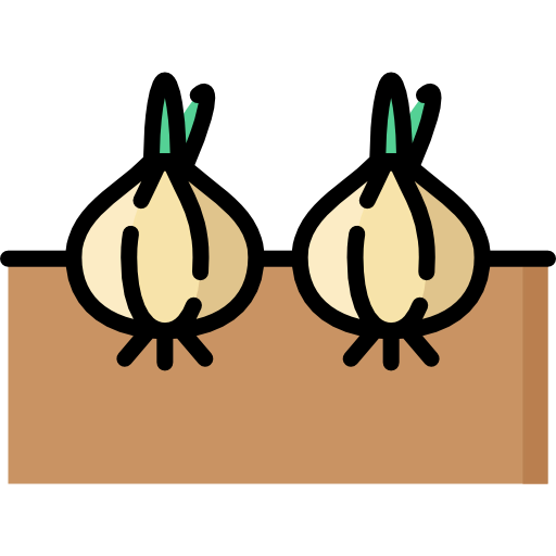 Onion icon