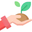 Sprout icon 64x64