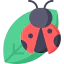 Bug icon 64x64