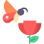 Butterfly icon 64x64