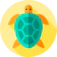 Turtle icon 64x64