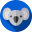 Koala icon 64x64