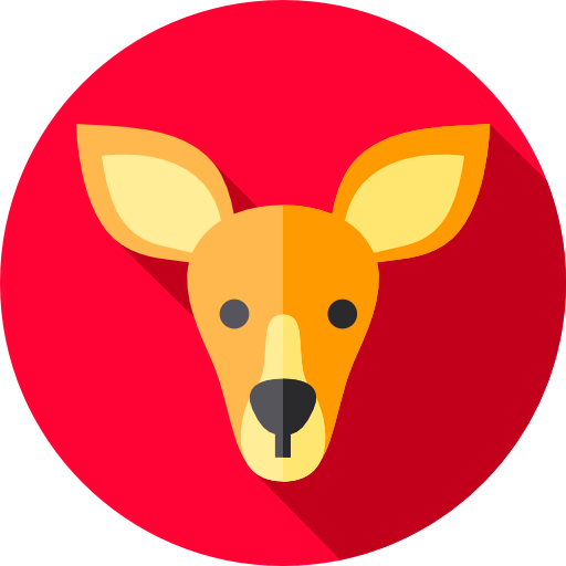 Kangaroo icon