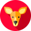 Kangaroo icon 64x64