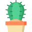 Cactus icon 64x64