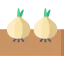 Onion icon 64x64
