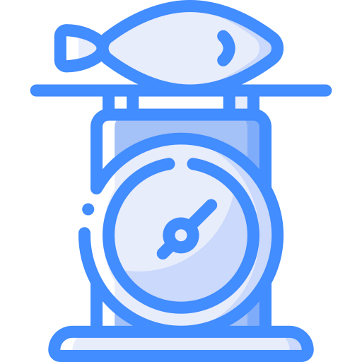 Weight icon