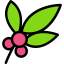 Leaf icon 64x64