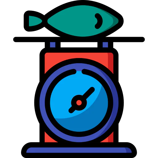 Weight icon