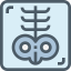X rays icon 64x64