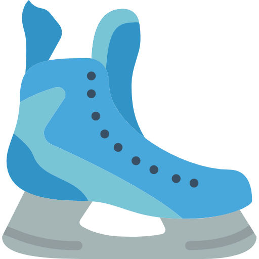 Skates icon