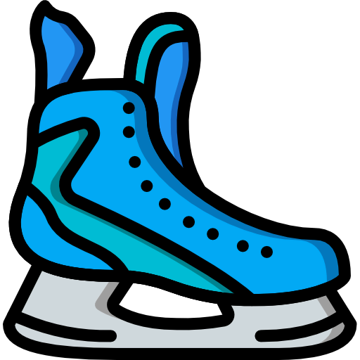 Skates icon