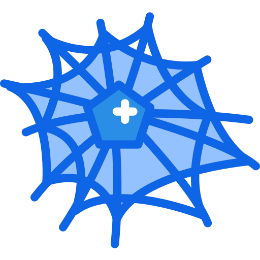 Spider web icon