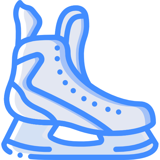 Skates icon