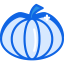 Pumpkin icon 64x64